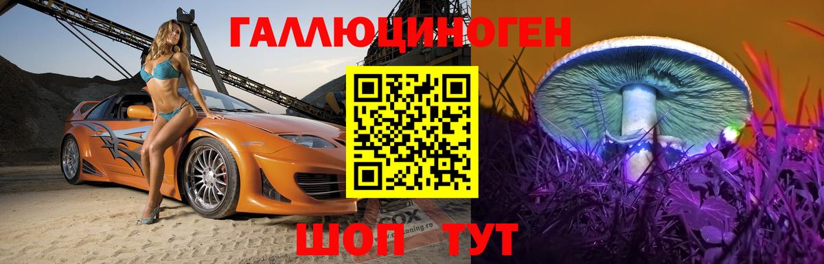 Псилоцибиновые грибы Magic Shrooms  Вход с VPN  Карабулак 